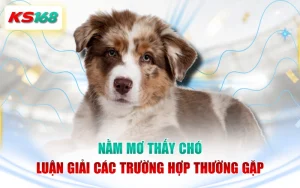 Nằm Mơ Thấy Chó - Luận Giải Các Trường Hợp Thường Gặp